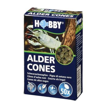 Hobby Alder Cones -  Erlenzapfen