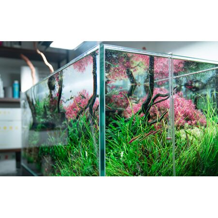 Aquario Neo CO2 Diffusor - Extend Normal Type