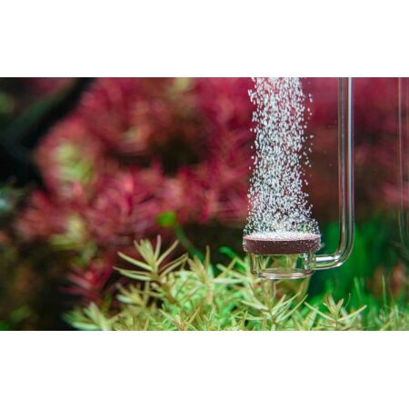 Aquario Neo CO2 Diffusor - Extend Normal Type