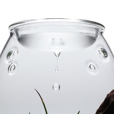 DOOA Glass Pot SHIZUKU