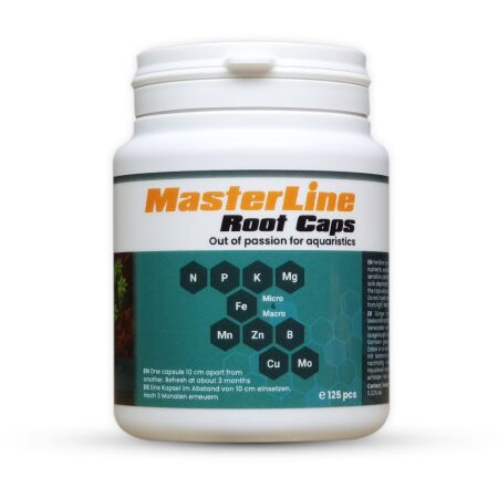Masterline Root Caps 125 St.