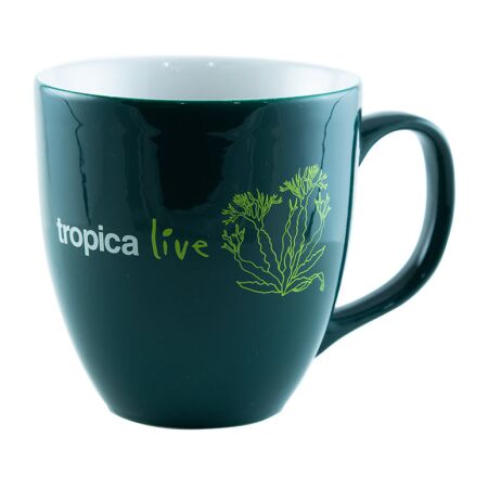 Tropica live Tasse Windelov