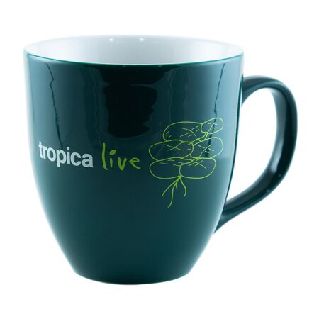 Tropica live Tasse Laevigatum