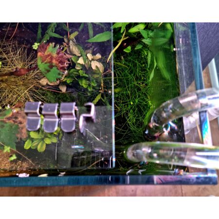 Clear Garden Mini M - Weißglas 6mm mit Zubehör-Set Lily
