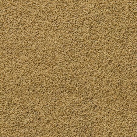 sera Immune Probiotic Granules XS 250ml  (120g)